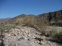 cantara Calatabiano18032012 034